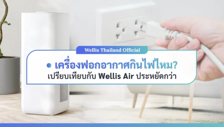เครื่องฟอกอากาศกินไฟไหม
