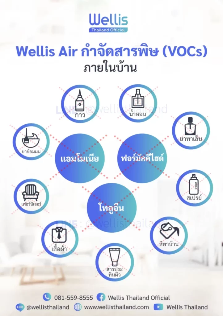 Wellis กำจัดสารพิษ VOCs