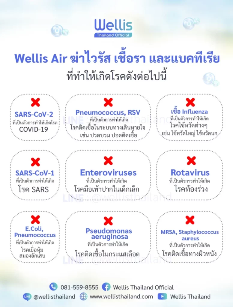 Wellis ฆ่าเชื้อไวรัส เชื้อรา แบคทีเรีย (1)