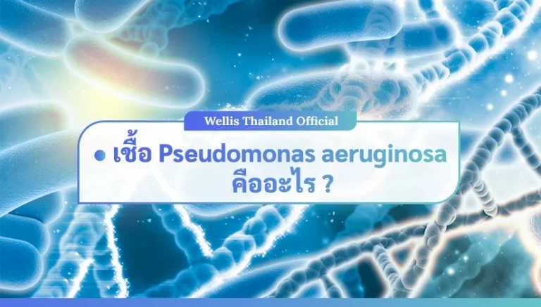 เชื้อ Pseudomonas aeruginosa คืออะไร? เชื้อฉวยโอกาสที่ต้องระวัง