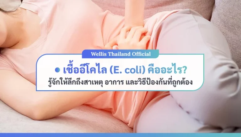 เชื้ออีโคไลคืออะไร